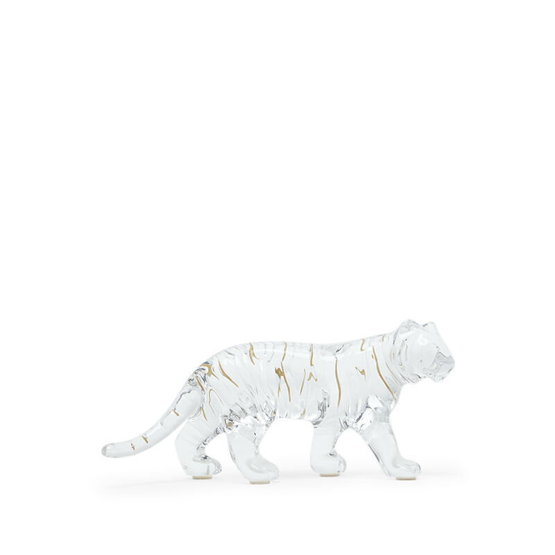 Zodiaque Clear Tiger 2022, large